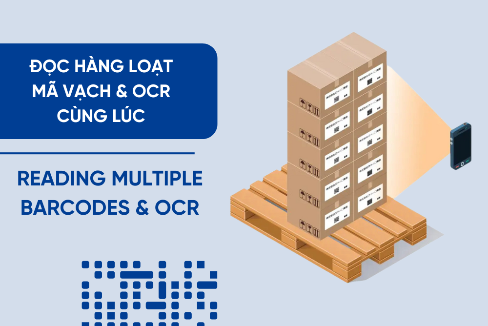 Đọc hàng loạt mã vạch và OCR: Tối ưu hóa quy trình quản lý sản xuất với MoMaVi